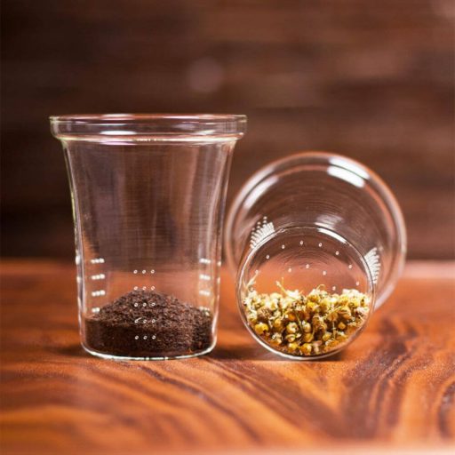 MIKO (LA) heat resistant glass teapot with lid and premium glass strainer 0,8 L