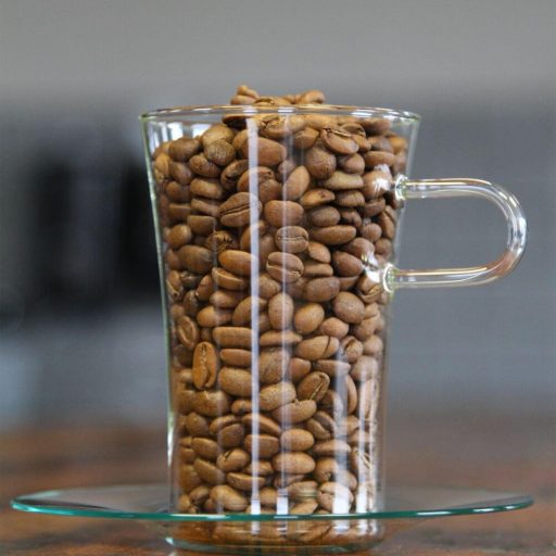 COSTA G Coffee glass 0,3 L, with glass saucer (2pcs/box)
