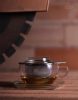 TEA TIME (S) heat resistant glass cup with lid and stainless steel strainer 0,3 L