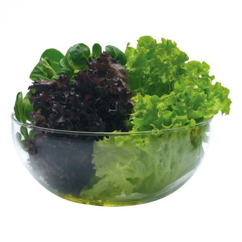 Konyhai üveg salátás tál 1 L