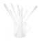 Heat resistant glass straw set Ø8mm x 20cm (6pcs/package)