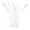 Heat resistant glass straw set Ø10mm x 25cm (6pcs/package)