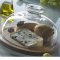 Cheese dome of glass