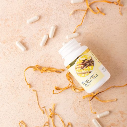 DXN - Cordyceps kapszula (60 kapszula x 450mg)