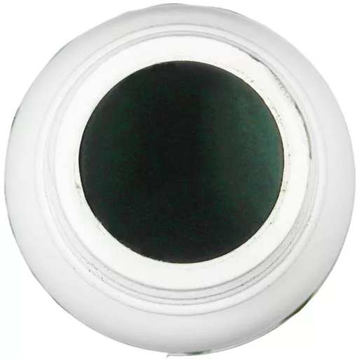 Spirulina tablets (120 tablets x 250mg)
