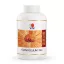 DXN GL 360 ganoderma capsules (360 capsules x 450mg)