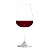 VULCANO wine glass 485 ml (2pcs/box)