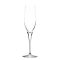 EXQUISIT Champagne glass 175 ml (6pcs/box)