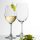 CLASSIC White Wine Large glass 370 ml (6pcs/box)