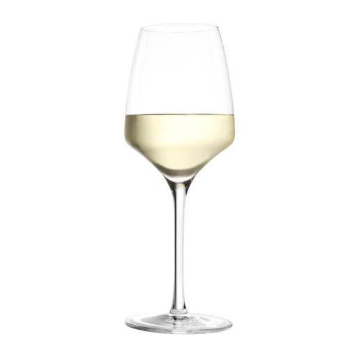 Experience White Wine Glass 350 ml (6pcs/box)