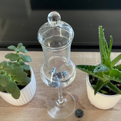Grappa glass top