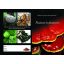 Nature's doctors brochure-ENG